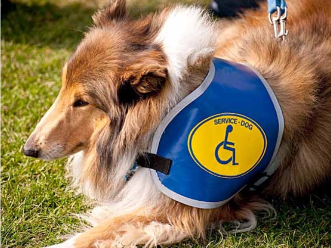 Octobre-Novembre 2014